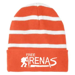 Sport-Tek® Striped Beanie with Solid Band