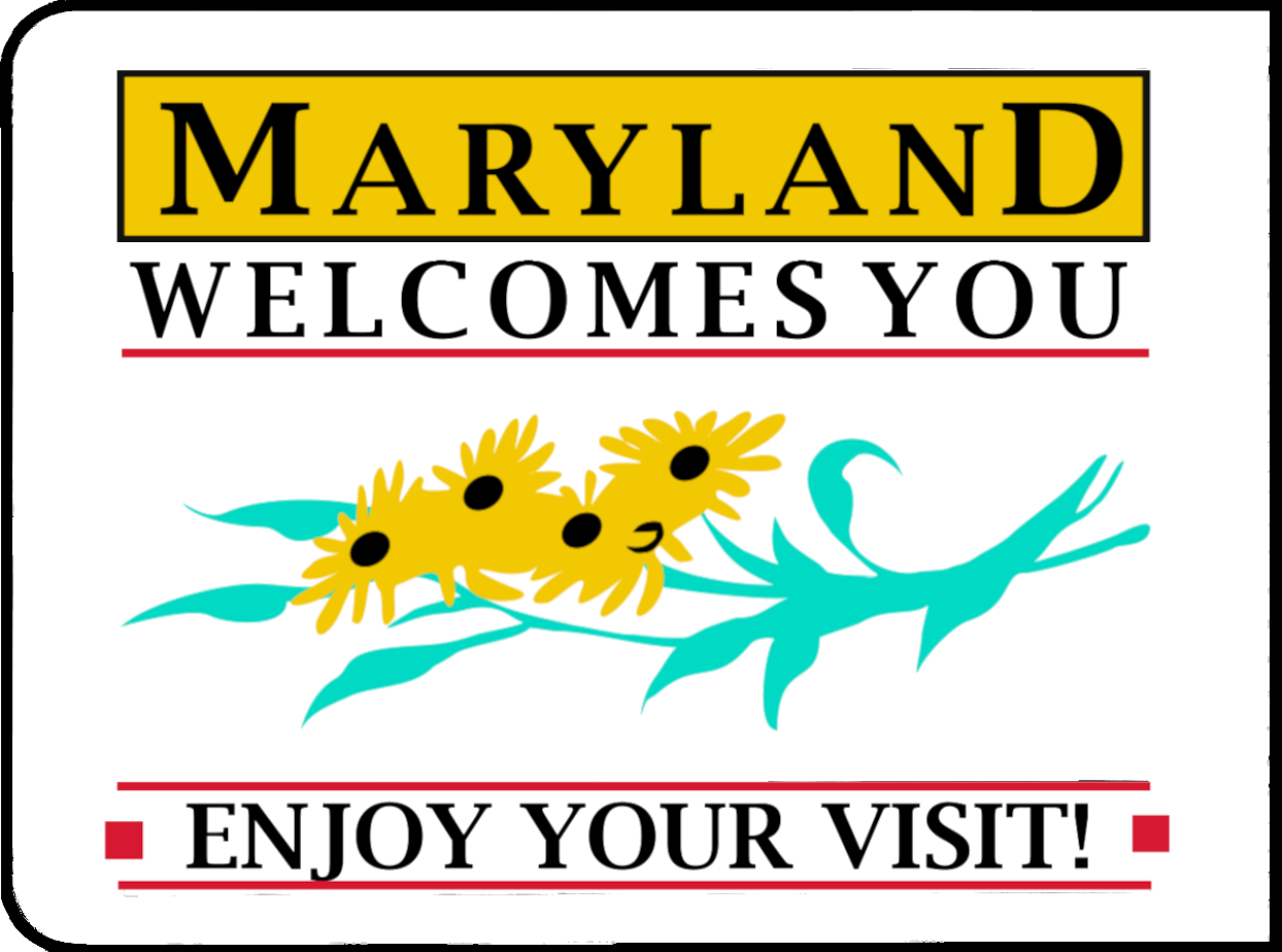 Black-eyed Susan