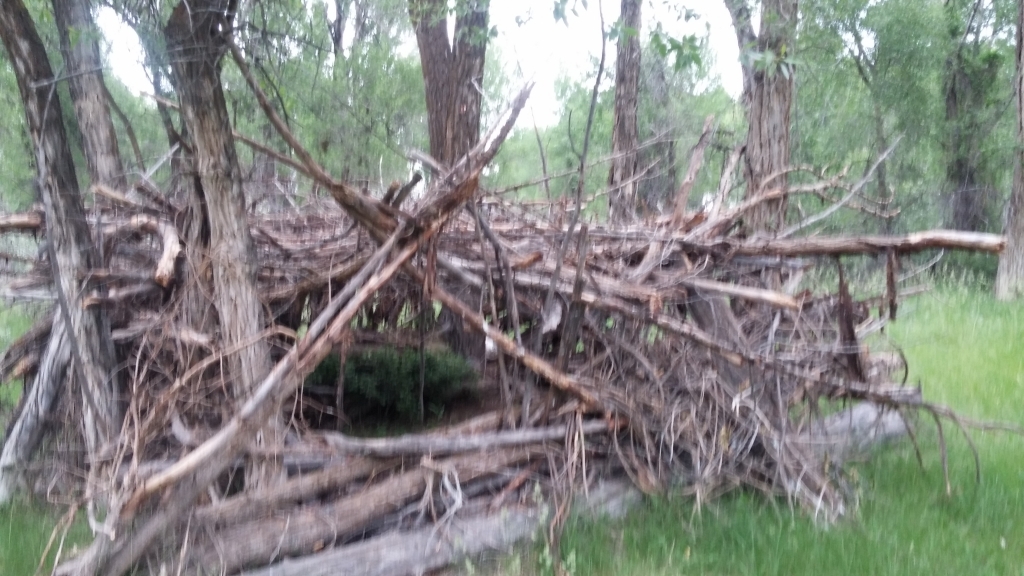 Ririe River Island (AKA Twin Bridges) Airsoft and Paintball near