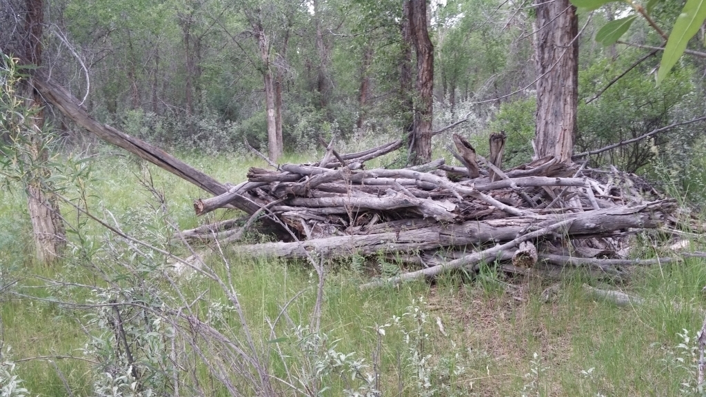 Ririe River Island (AKA Twin Bridges) Airsoft and Paintball near