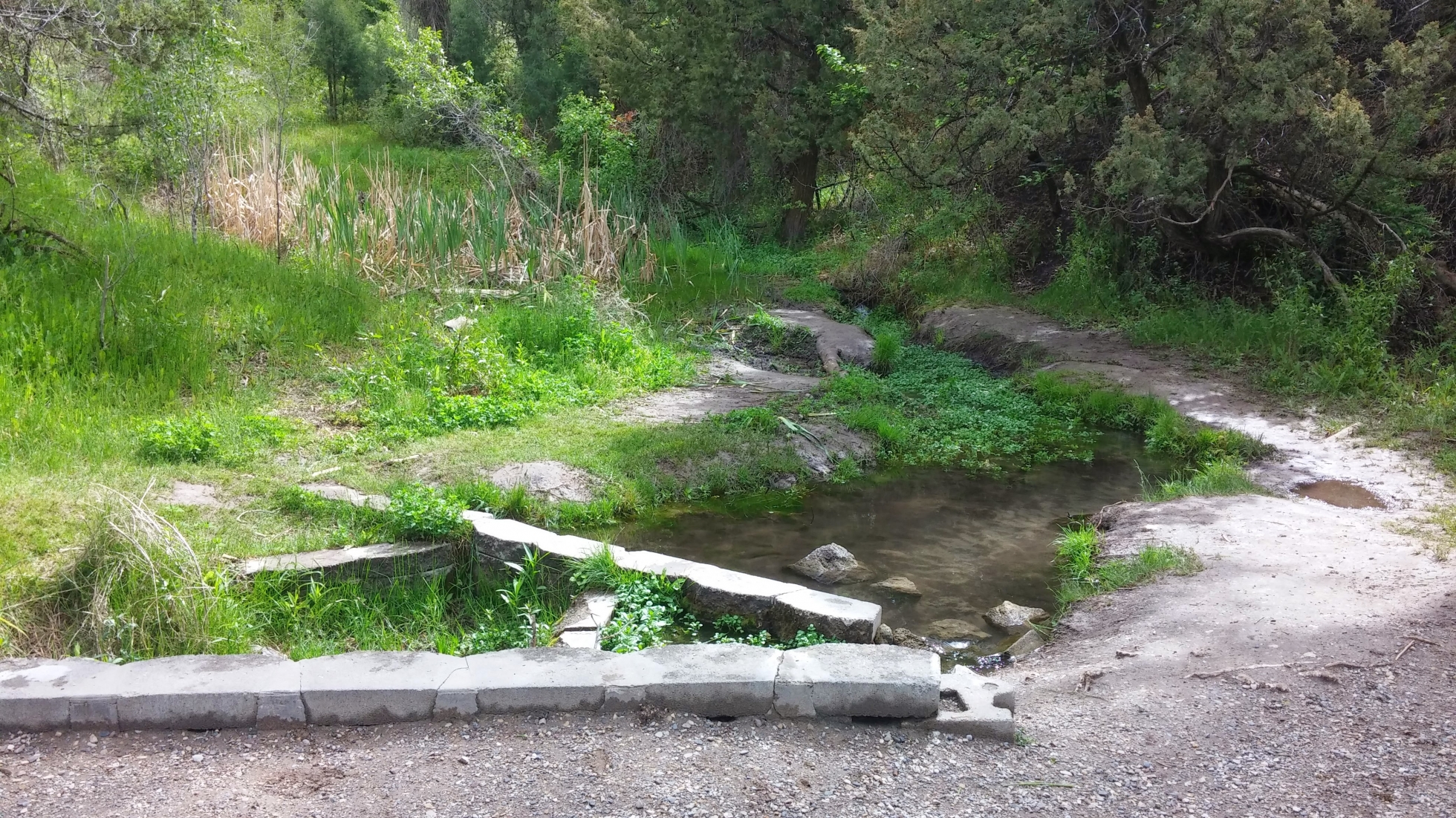 Cress Creek Nature Trail Hike near Rexburg, Idaho Free Arenas