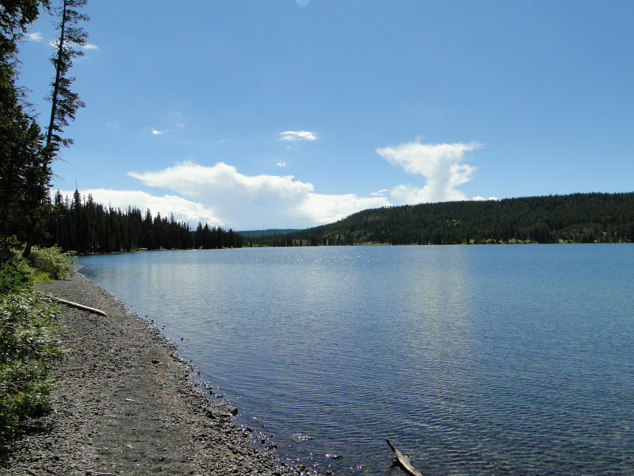 Lewis Lake Campground Camp, Canoe, and Kayak near Grant Village