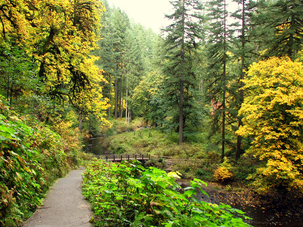 Silver Falls State Park Camp, Hike, Horseback, and Swim near