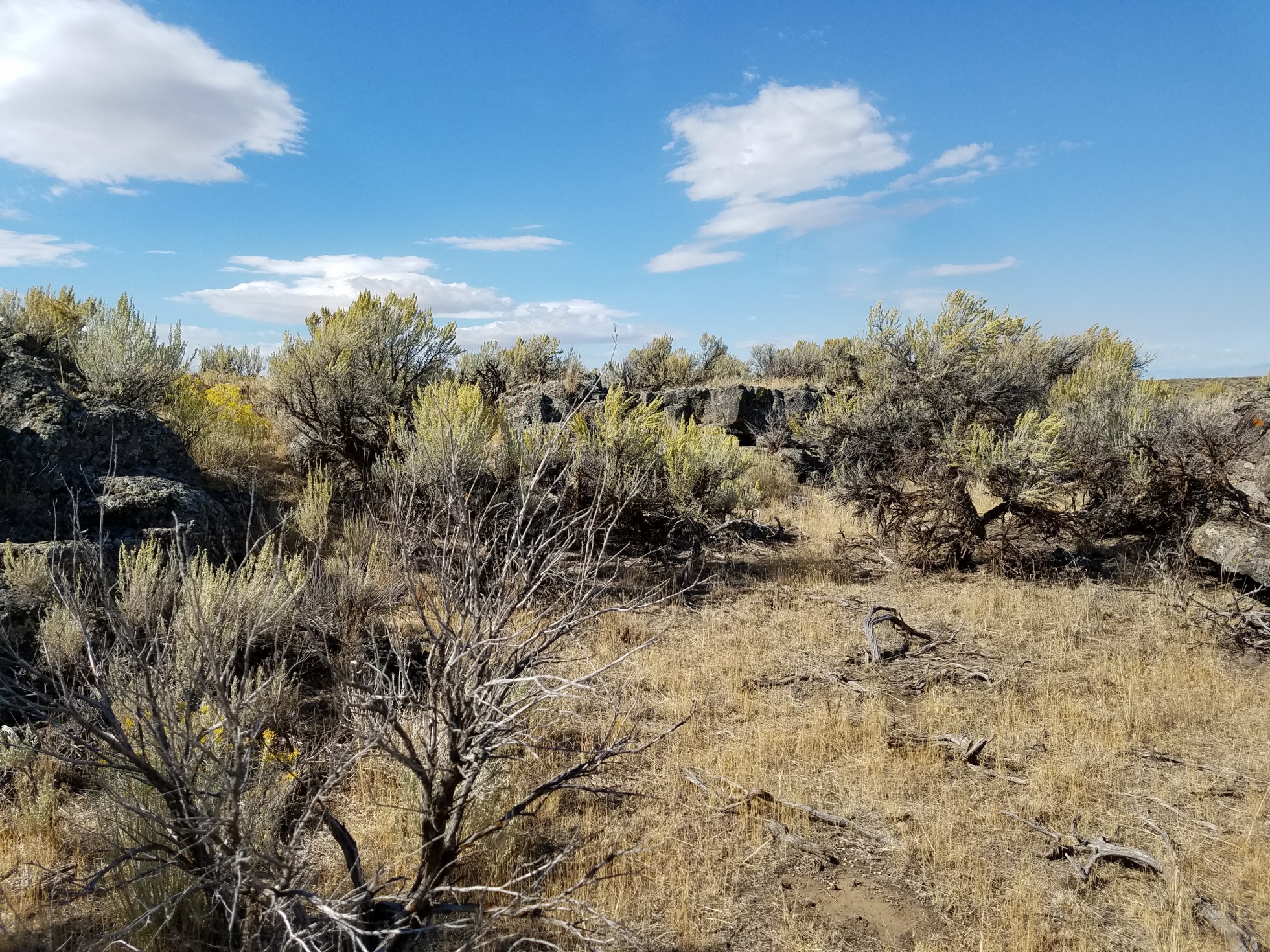 Lava Hill Airsoft and Paintball near Menan, Idaho Free Arenas