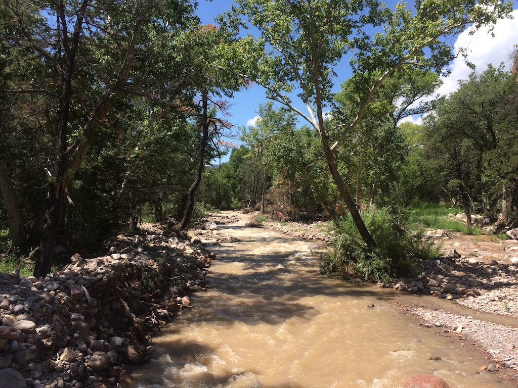 Cave Creek Swimming Hole Hike and Swim near Cave Creek, Arizona