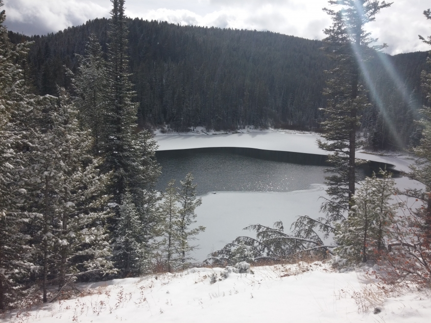 Packsaddle Lake Dive, Hike, Mountain Bike, Snowshoe, and Swim near