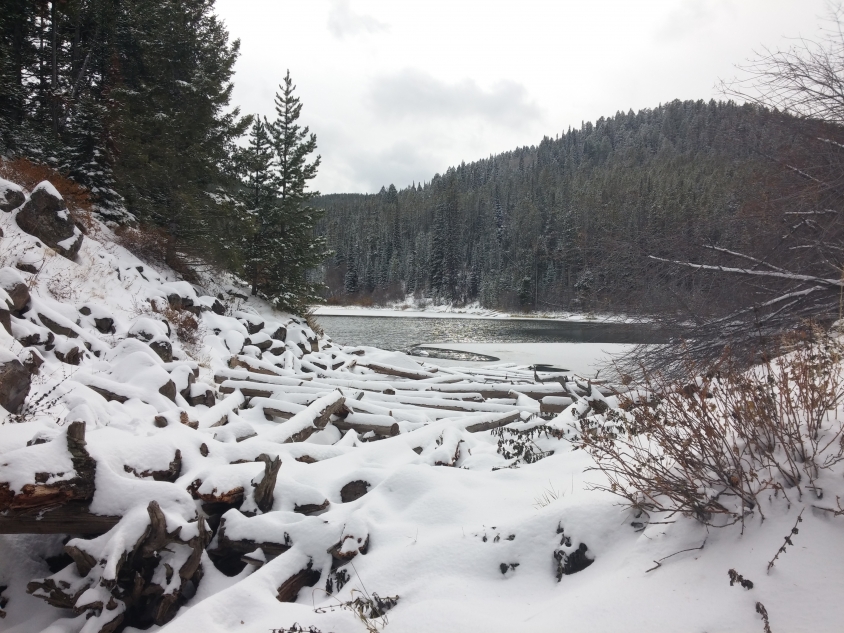 Packsaddle Lake Dive, Hike, Mountain Bike, Snowshoe, and Swim near