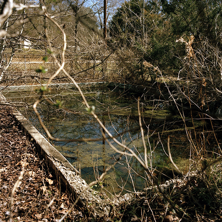 Lifsey Spring Hot Springs near Zebulon, Free Arenas