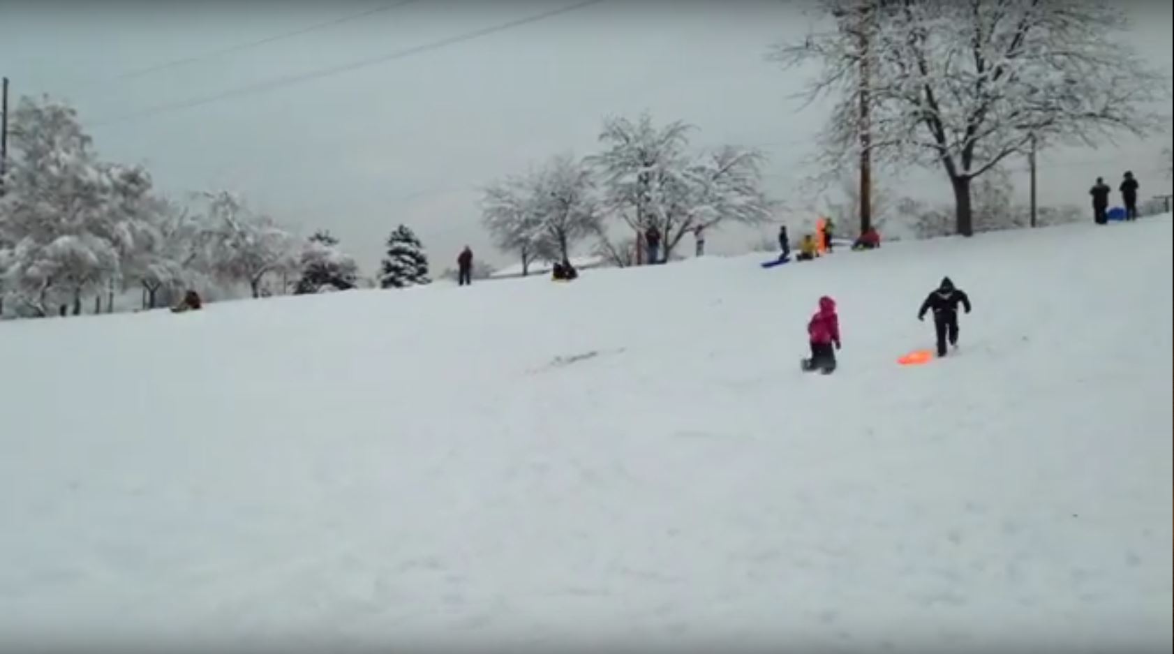 Sugar House Park Sled near Salt Lake City, Utah Free Arenas