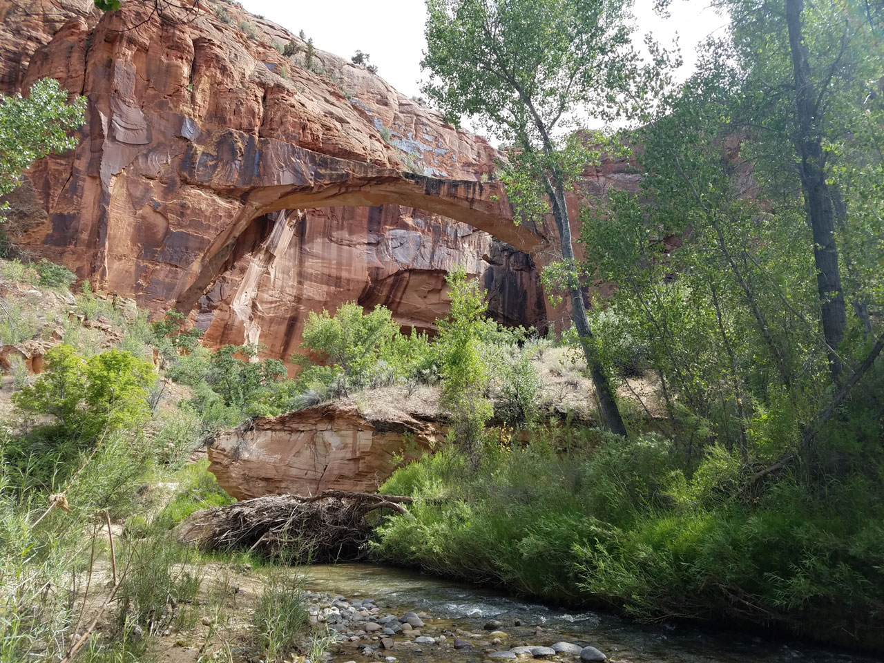 Escalante River Hike and Horseback near Escalante, Utah Free Arenas