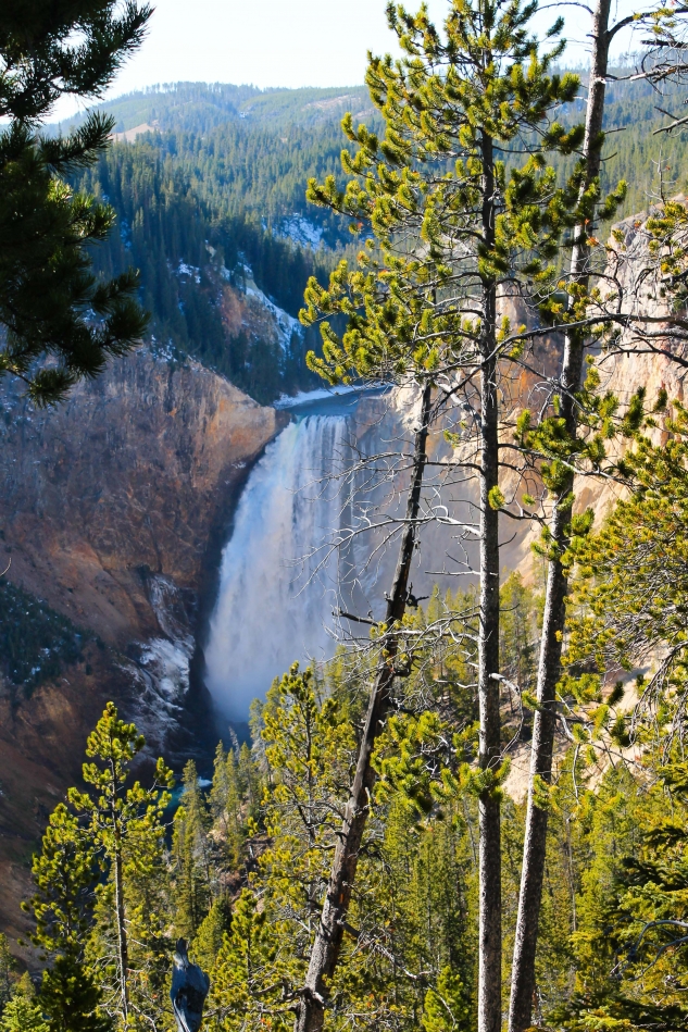 Lower Falls of the Yellowstone Hike near Canyon Village, Yellowstone