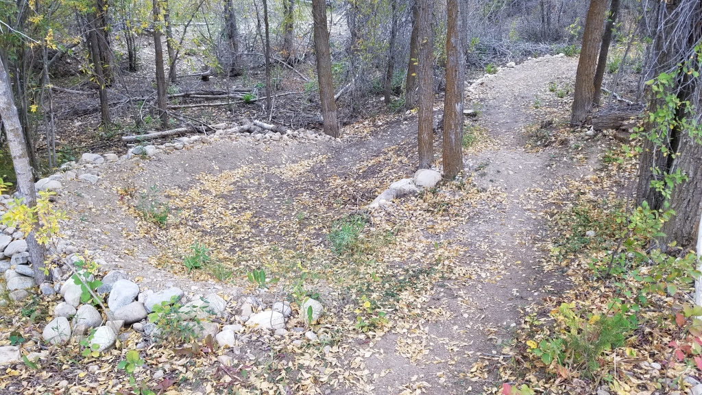 Driggs Bike and Skate Park Mountain Bike and Skateboard near Driggs