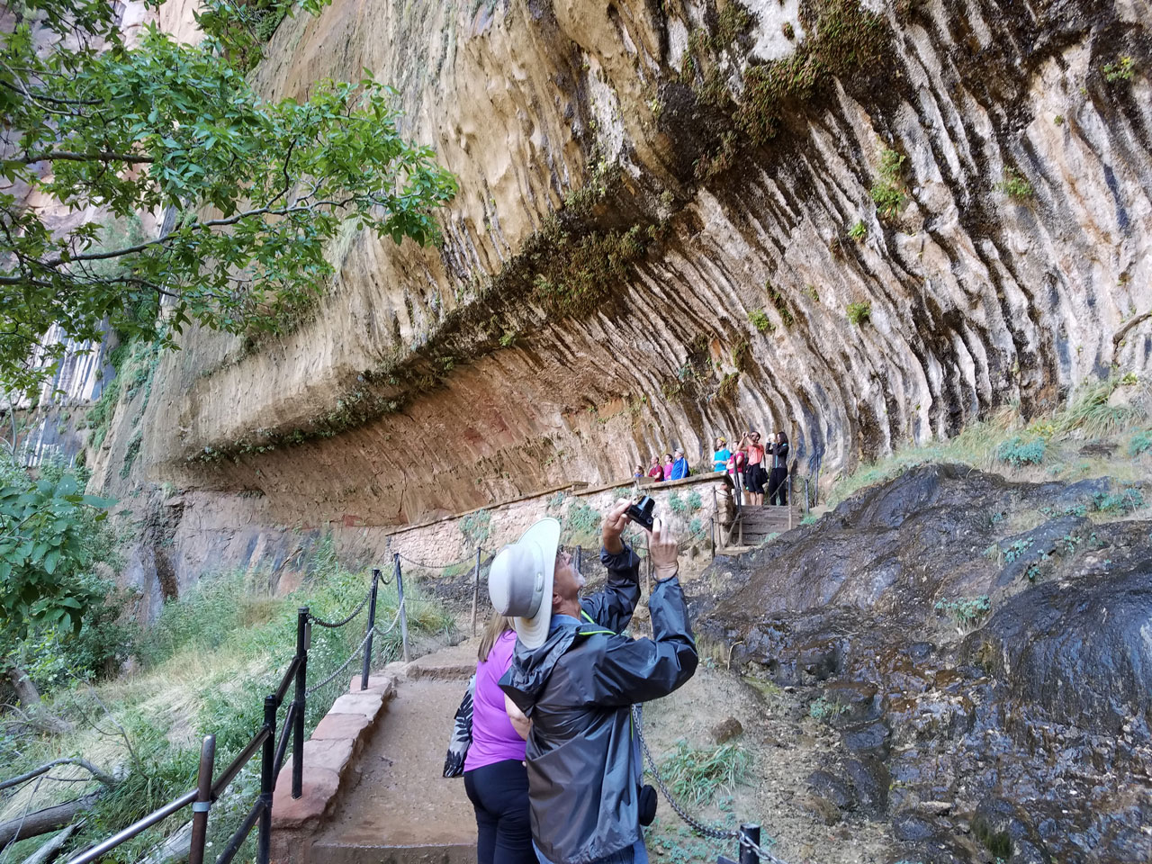 Weeping Rock Hike near Springdale, Utah Free Arenas