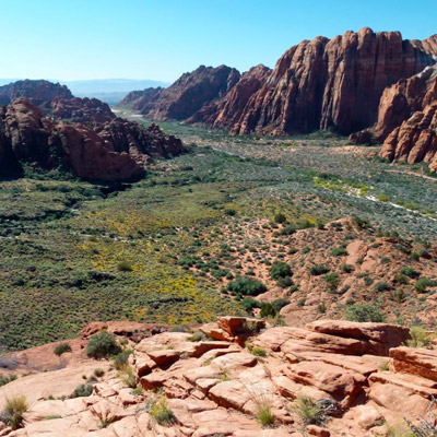Snow Canyon State Park - Cave, Hike, Mountain Bike, and Rock Climb near ...
