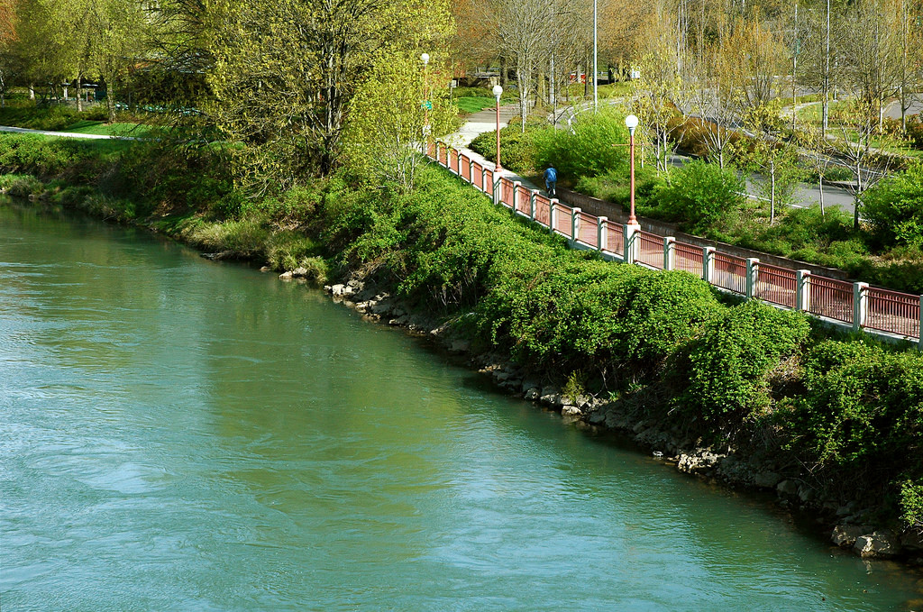 Willamette River Trail Hike and Mountain Bike near Canby, Oregon