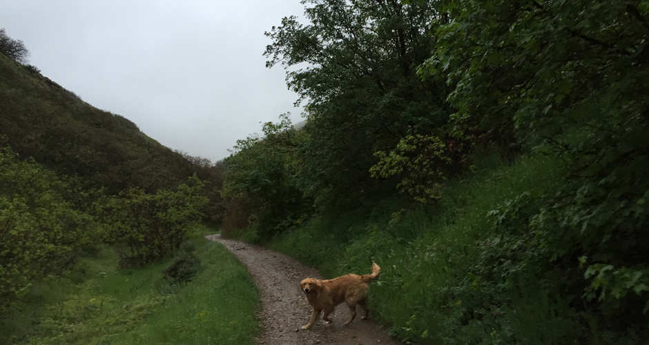 Dry Creek Trail Park Disc Golf near Lehi, Utah Free Arenas