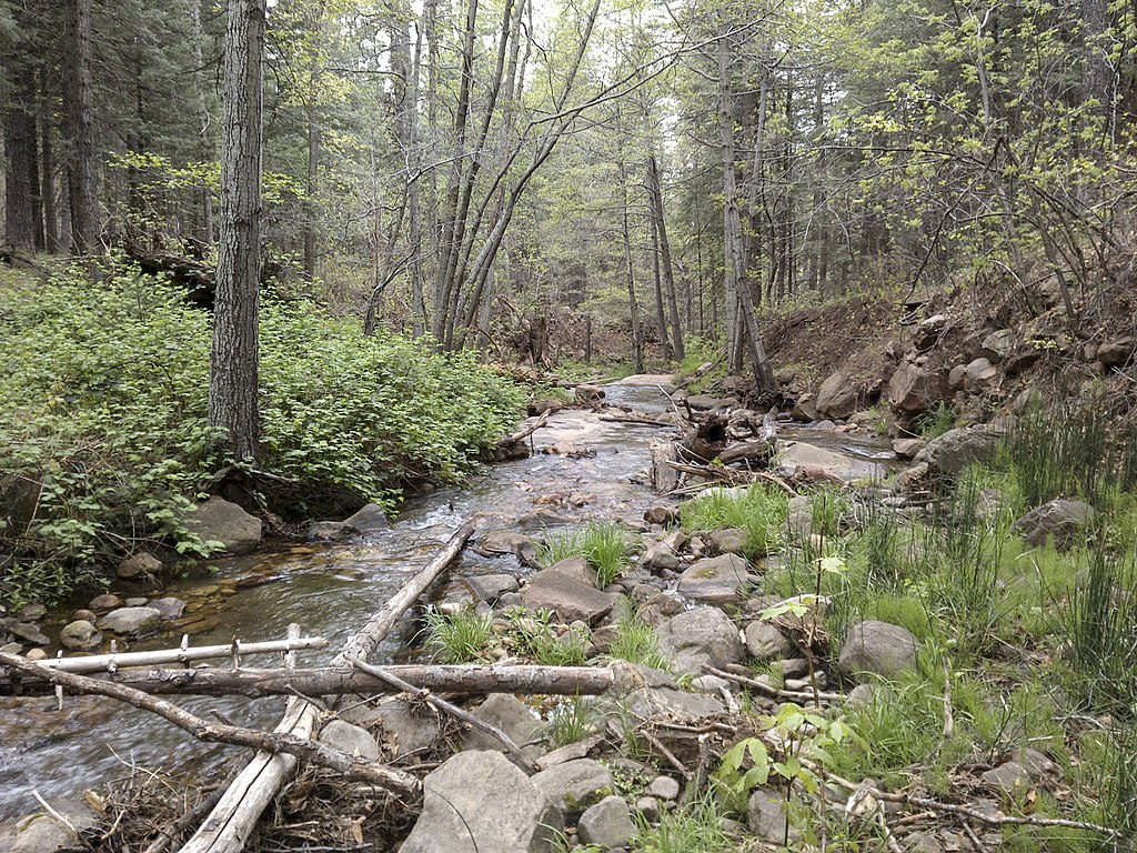 Horton Springs Backpack, Camp, and Hike near Payson, Arizona Free