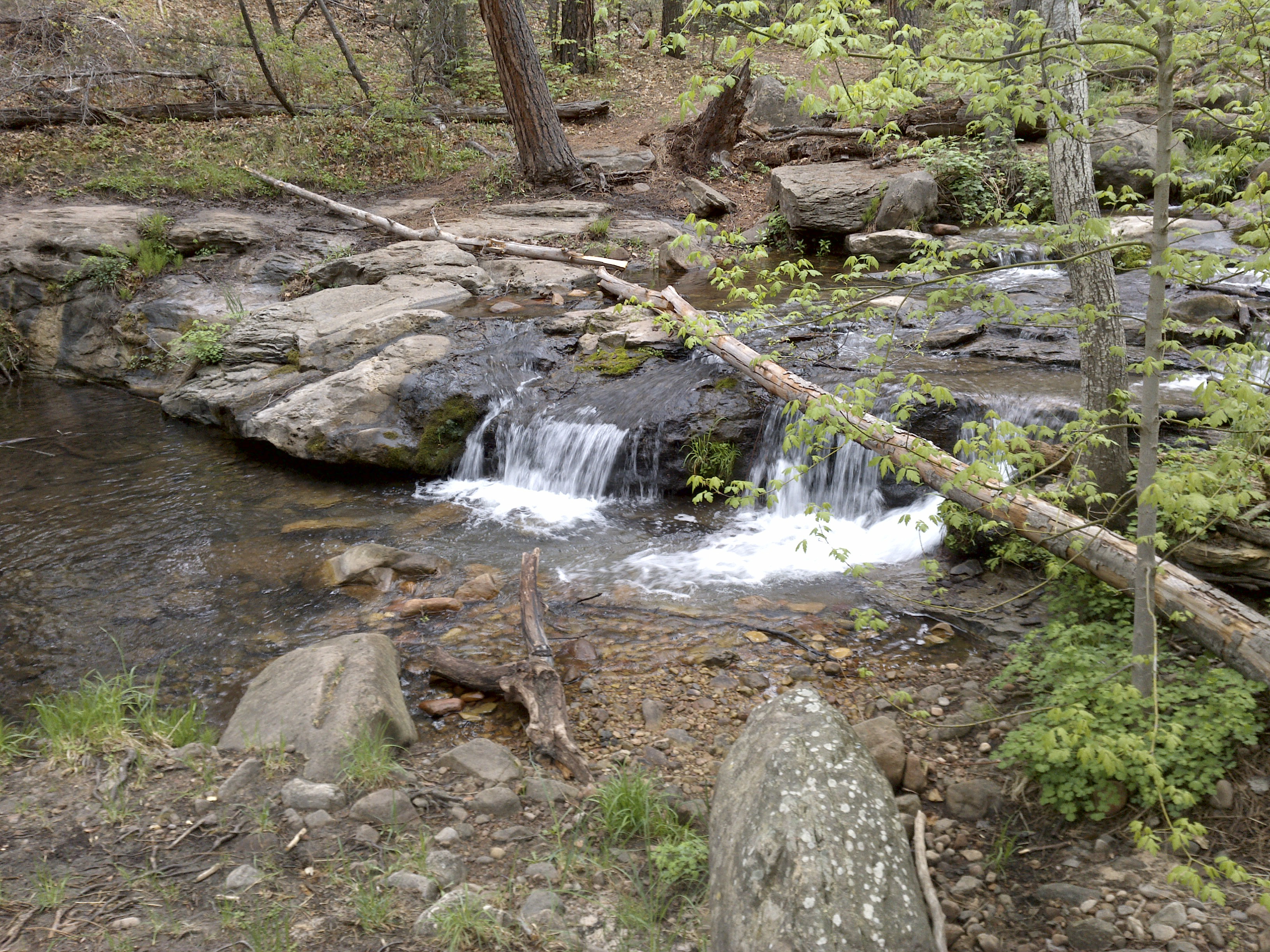 Horton Springs Backpack, Camp, and Hike near Payson, Arizona Free