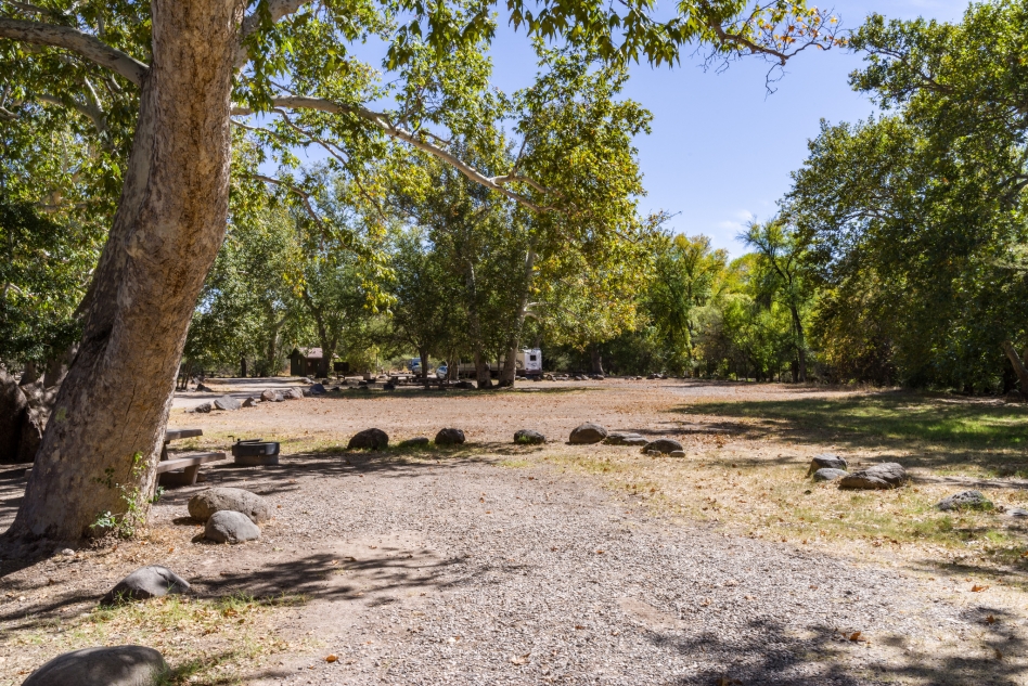 Clear Creek Campground Camp, Hike, and Swim near Camp Verde, Arizona