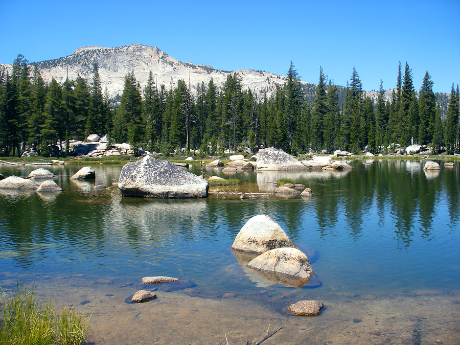 Crane Flat Backpack, Camp, Hike, and Snowshoe near Big Oak Flat, Yosemite National Park Free