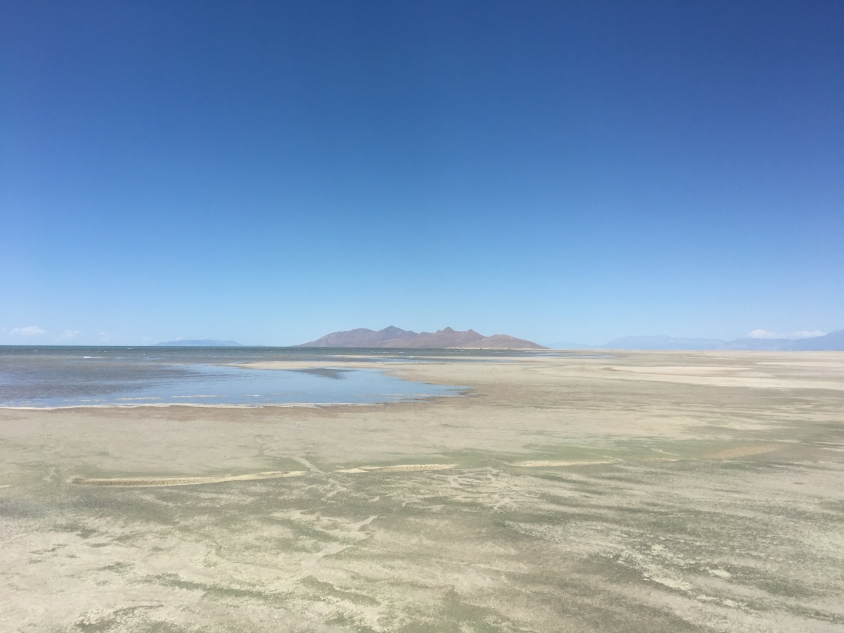 Bonneville Salt Flats Camp and Swim near West Wendover, Utah Free