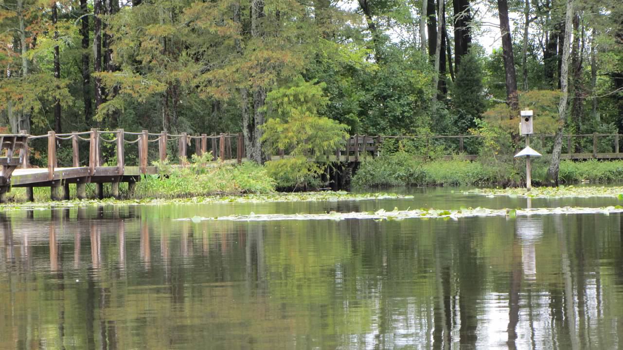 Queen Anne Creek Canoe and Kayak near Edenton, North Carolina Free