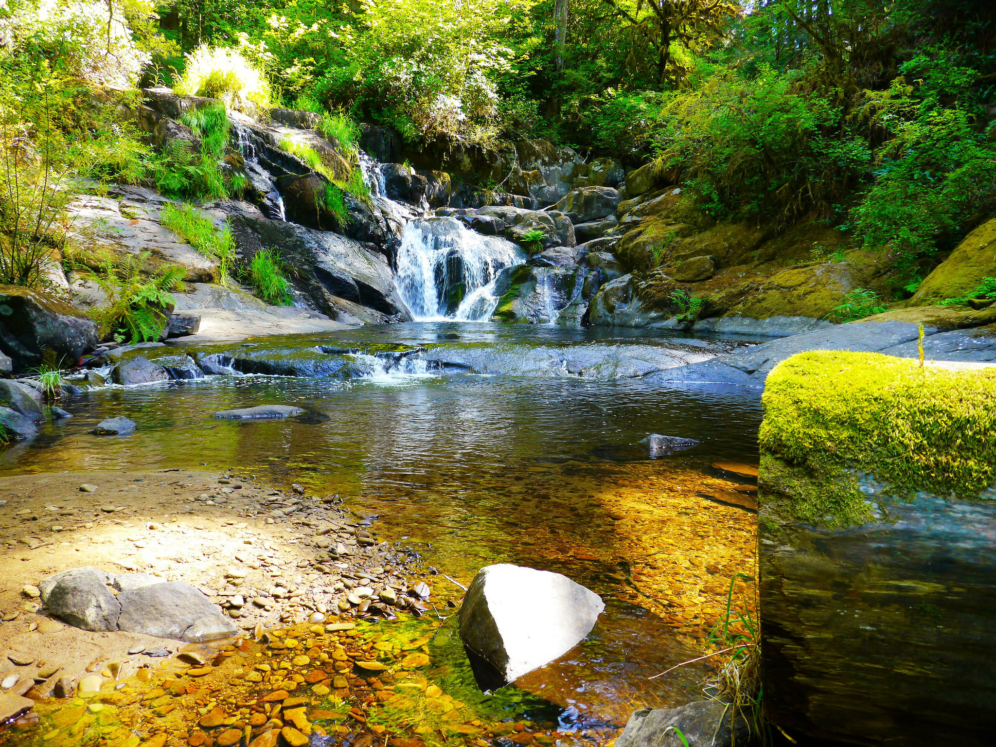 Beaver Creek Falls - Hike near Mapleton, Oregon - Free Arenas
