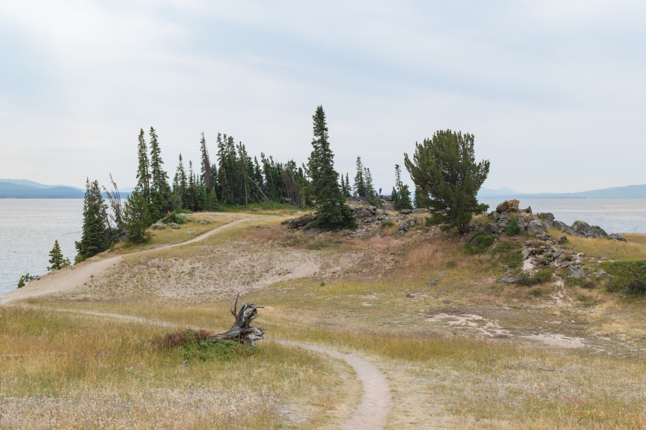 Storm Point Trail Hiking Near Lake Village Yellowstone National Park Storm Point Trail Hiking Near Lake Village Yellowstone National Park