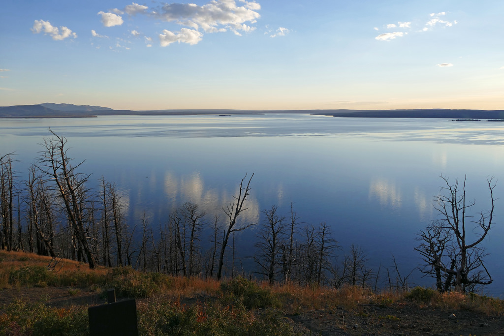 Yellowstone Lake Overlook Trail Hike near Grant Village, Yellowstone