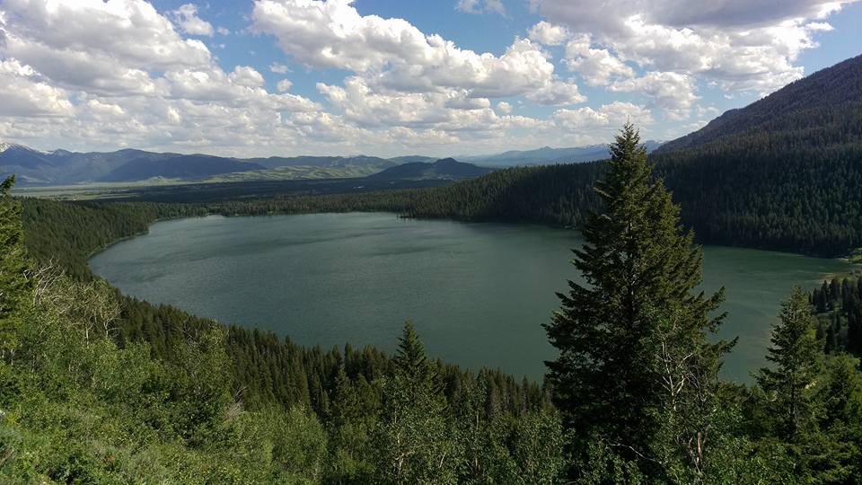 Phelps Lake Backpack, Camp, Dive, Hike, and Swim near Jackson