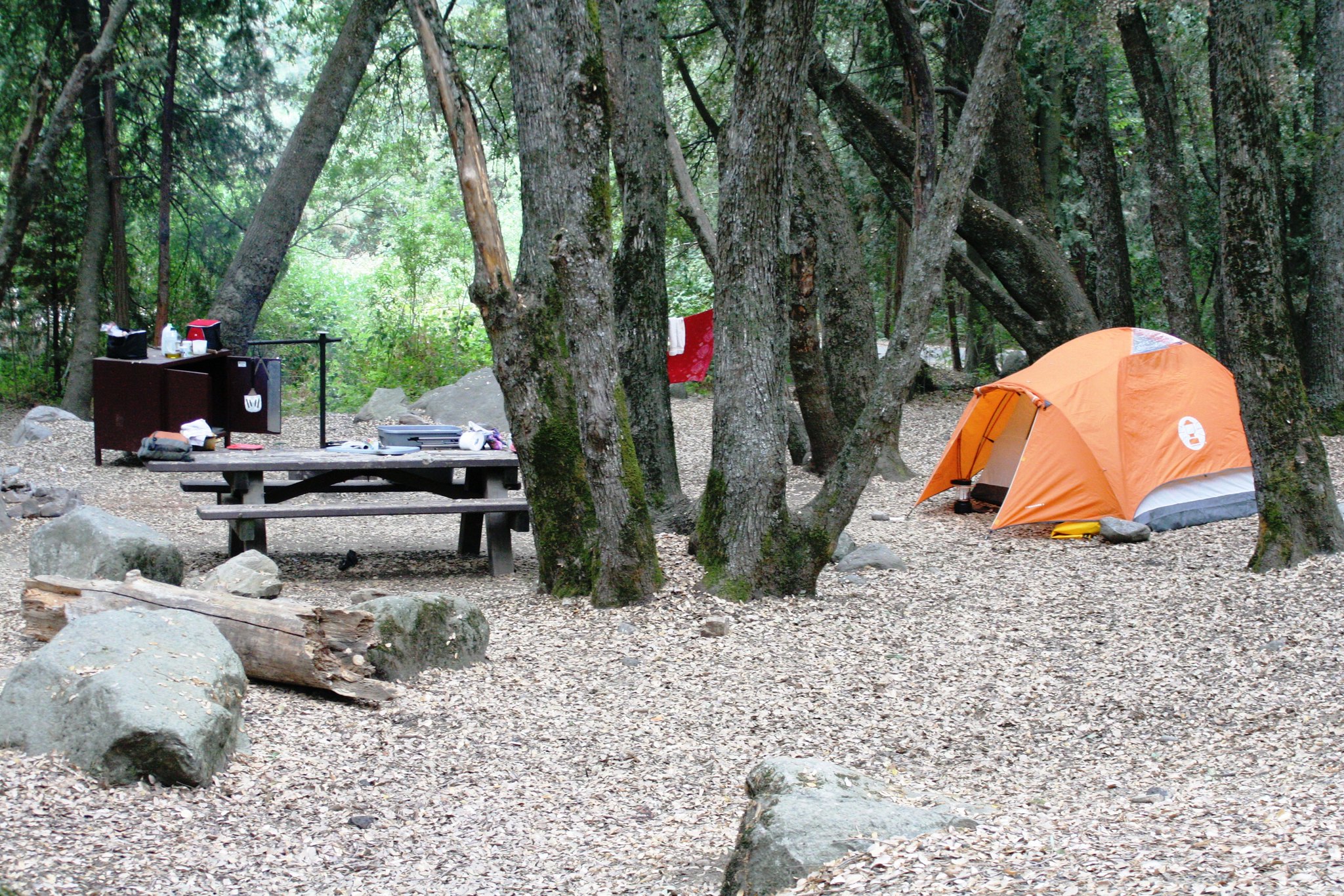 Hidden Falls Campground Camp, Hike, and Swim near Springville