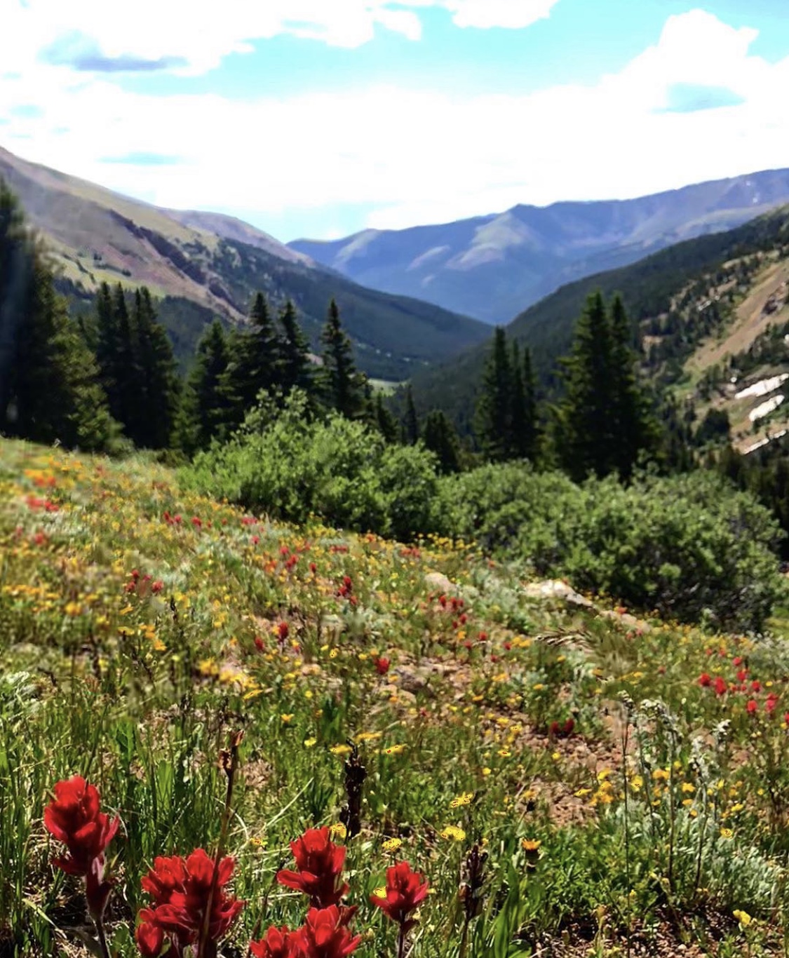 Herman Gulch Backpack and Hike near Silver Plume, Colorado Free Arenas