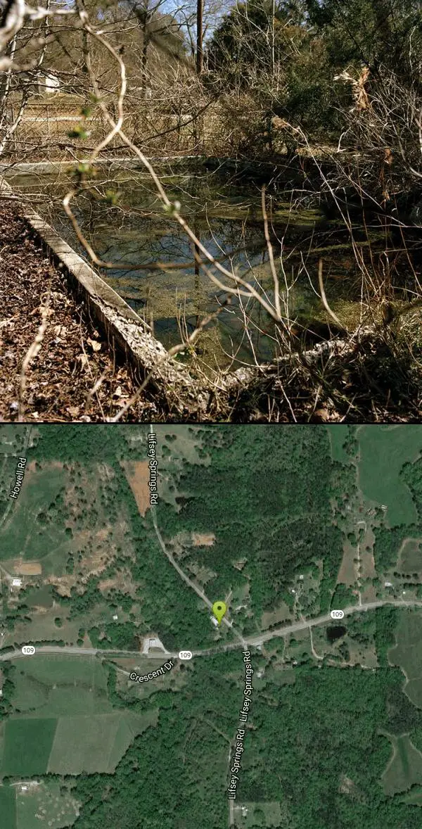 Hot Springs at Lifsey Spring near Zebulon, Georgia. Maps, directions, and reviews. Lifsey Spring issues from alluvium in low ground 200 feet north of a county road that extends westward 2 miles from Pine Mountain Store, 4 miles...
