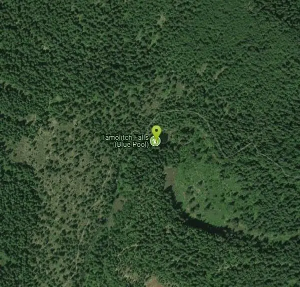 Hike at Tamolitch (Blue) Pool near Mount Washington, Oregon. Maps, directions, and reviews. The Tamolitch Pool, also known as the Blue Pool, is the one and only pool of its kind in Oregon. The name "Tamolitch", meaning...
