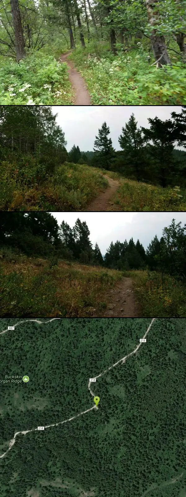 Hike and Mountain Bike at Buckskin Morgan Ridge near Ririe, Idaho. Maps, directions, and reviews. Going up is a little tough because of the rocks, but once you clear the top it is a twisty down hill portion [until] you get...