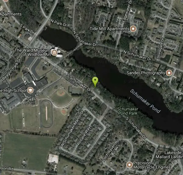 Disc Golf at Schumaker Pond near Salisbury, Maryland. Maps, directions, and reviews. Short, tight with mild elevation. Lightly wooded front 9 features scenic pond. Back 9 through open field and tight woods. Alt. tees play 15,3,0....