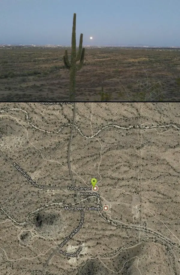 Hike, Horseback, and Mountain Bike at Mule Deer Trail (Maricopa Trail) near Waddell, Arizona. Maps, directions, and reviews. Mule Deer trail is a 3.5 mile out-and-back trail that it part of the Maricopa Trail within White Tank...