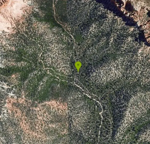 Hike at Bristlecone Loop near Kanab, Utah. Maps, directions, and reviews. Bristlecone Loop is a one-mile trail from Rainbow Point. Rainbow Point is located at the southern end of Bryce Canyon National Park and is the highest...