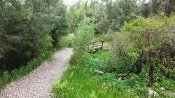 Bridge along the trail added by endovereric