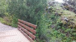 Wet Climate Upper Bridge