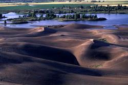 Scenic From The Dunes