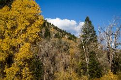 Autumn colors  added by cteicheira