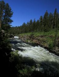 River View At Lower Sheep Falls courtesy of Greg Stringham&nearr;