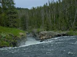 Sheep Falls On The Henrys Fork by Ralph Maughan