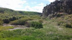 Rock Climb at Basalt Bluff / Steve's Rock near Teton, Idaho. Maps, directions, and reviews. Don't go anywhere marked No Trespassing and Beware of the Attack Bees at the top of the cliffs and the Stinging Nettle at the bottom.... (image: From The Road)