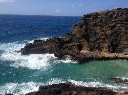 Swim at Cockroach Cove near Honolulu, Hawaii. Maps, directions, and reviews. On Oahu's southeastern shore between Japanese Fishing Shrine and the Halona Blowhole is a great little beach great for swim. Far away... (image: Cockroach Cove Aka Hlona Cove 02 courtesy of feldbum↗)
