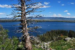 Grand Teton Jenny Lake Inspiration Point Panoramio1 courtesy of endovereric↗