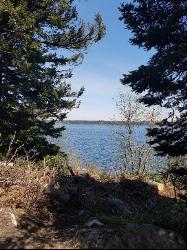 Lake View From The Trail courtesy of endovereric↗