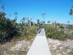 Shoreline and coastal marsh at Big Lagoon State Park courtesy of Ebyabe&nearr; (CC BY-SA 3.0&nearr;)