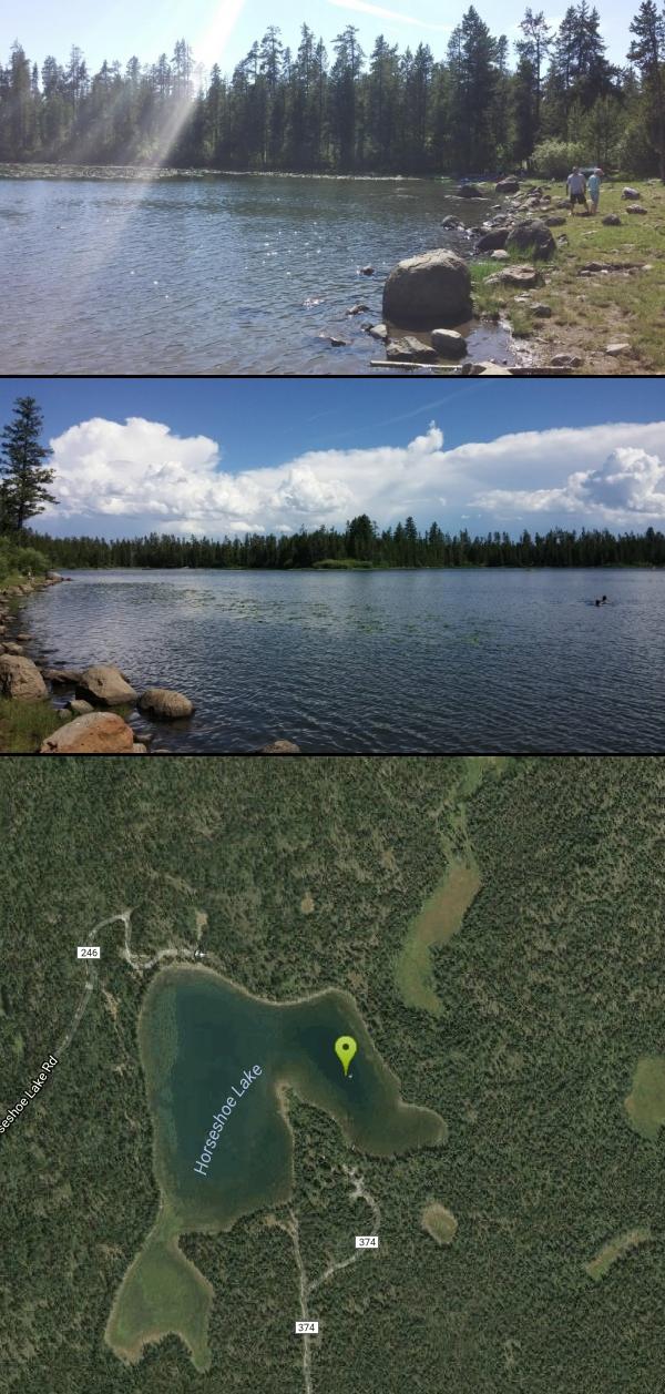 Horseshoe Lake Camp, Canoe, Dive, and Swim near Ashton, Idaho Free